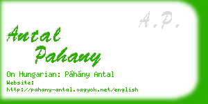 antal pahany business card
